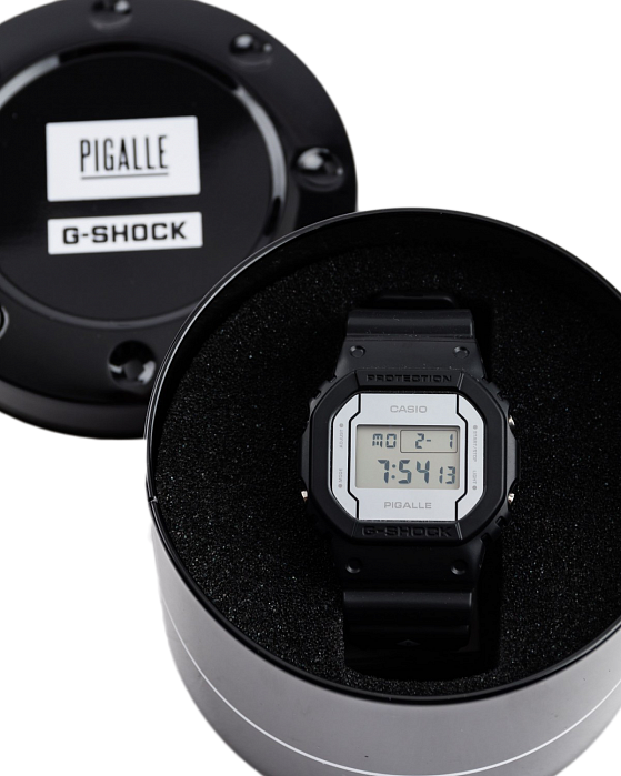 DW-5600PGB-1E