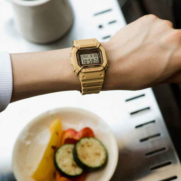 DW-5600PT-5