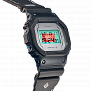 DW-5600PGB-1E