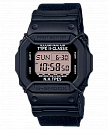 DW-D5600NH-1DR