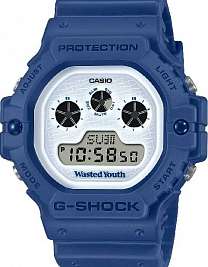 DW-5900WY-2