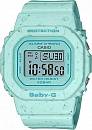 BGD-560CR-2