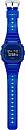 DW-5600SB-2ER