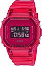 DW-5600SB-4ER