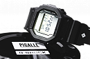 DW-5600PGB-1E